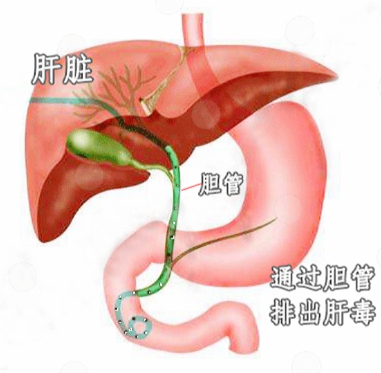 《如何在日常生活中实现健康养生 ｜ 百草香灸哪里产的好用，百草香灸的好处与功效与作用及禁忌？》