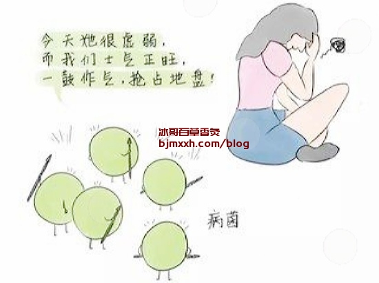 《摆脱“肥胖困扰”！小妙招助你轻松瘦身 | 百草灸多少钱一盒，百草香灸有啥用？》