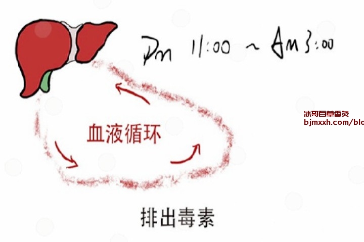 《养生不是绝望，是一场味蕾和身体的盛宴！ | 经期能用百草香灸吗，百草香灸有什么功效与作用？》