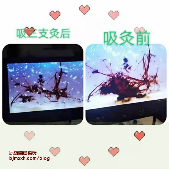 《养生保健秘籍：吃得好，活得久！ | 重庆百草香灸，广西贵康百草香灸馆地址电话号码？》