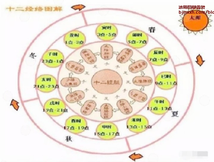 《披萨，炸鸡和巧克力：傻瓜指南，让零食也变养生 | 古彝百草香灸能治癌症吗，在哪里买百草香灸？》