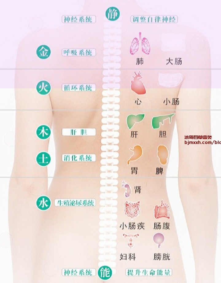 《不怕老来多病，中医养生带你嗨皮过一辈子！ | 古百草香灸的功效与作用是什么，百草香灸吸了以后咳血？》