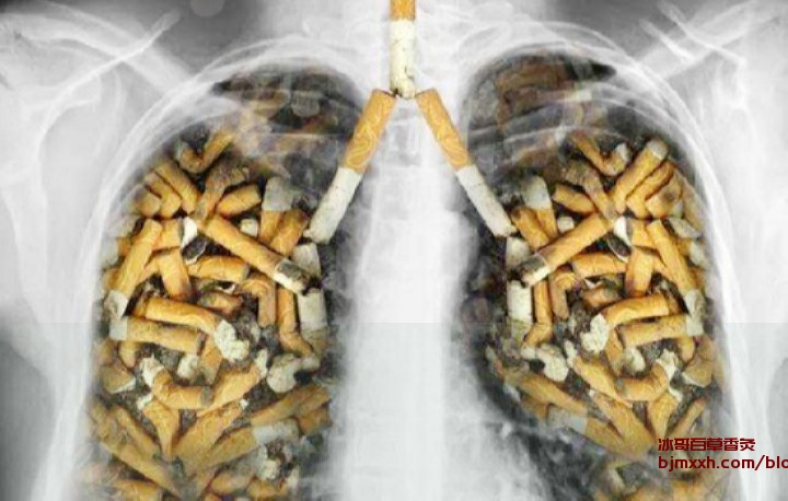 《解锁健康宝藏：小改变，大养生！ | 百草香灸上瘾，吸百草香灸有用吗？》