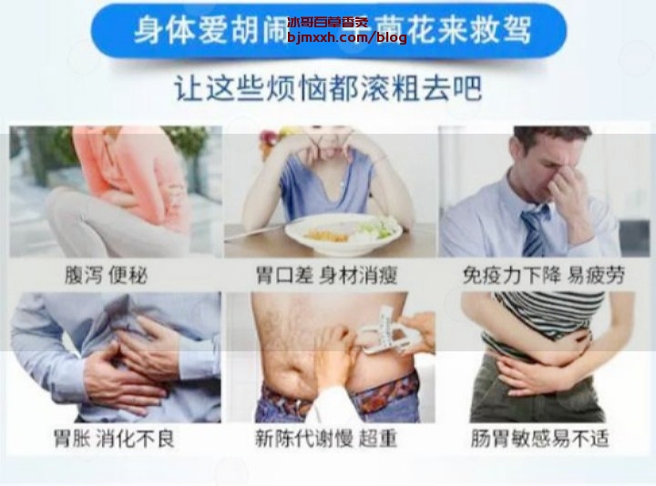 《养生大作战------吃出好健康！ | 百草香灸可以调理身体吗女人能用吗，百草香灸生产基地？》