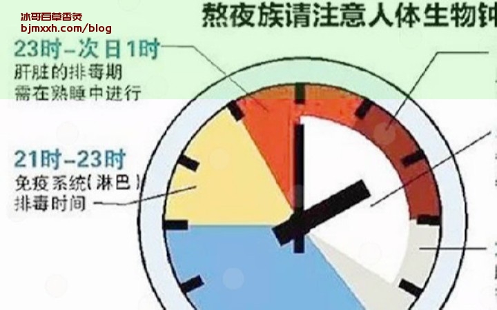 《吃出好运气：幸福胃袋的养生秘籍 | 百草香灸烟真能治百病吗，百草香灸长沙？》