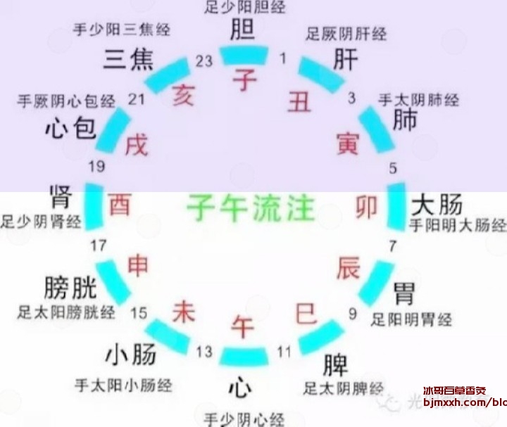 《掌握你的食欲：吃出健康，吃出好心情 | 百草香灸骗局揭秘是真的吗，馨百草中药烟？》