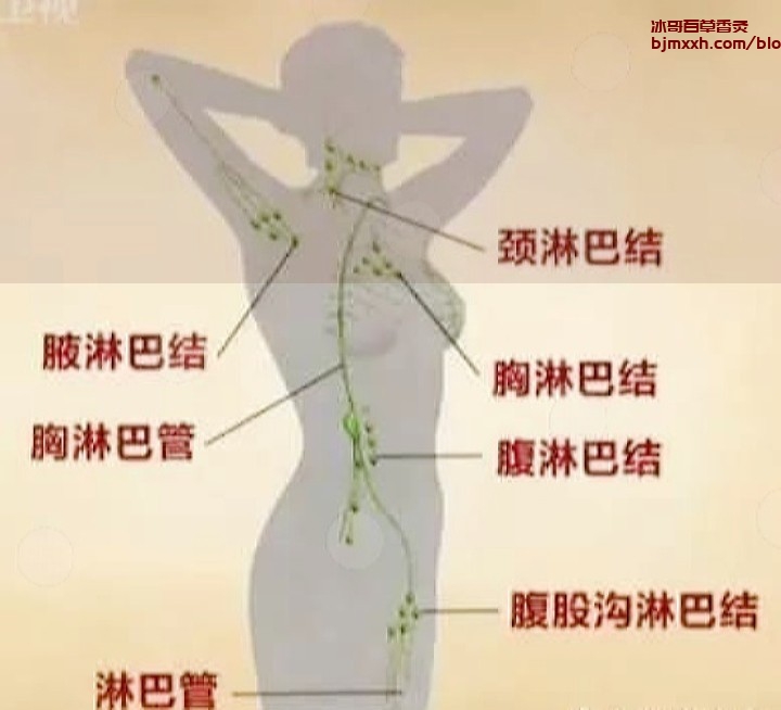《懒人养生指南：懒出新境界，健康轻松搞定！ | 彝族百草香灸李大为真的吗，古草百草香灸？》