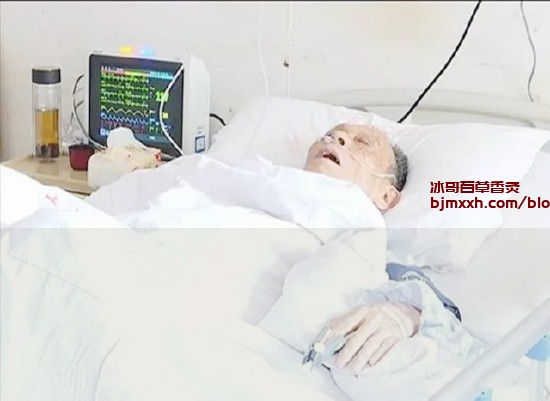 《养生不是宇航员的事：普通人的日常保健法宝 | 百草香灸哪家好用一点，吸百草香灸的作用与功效禁忌症？》