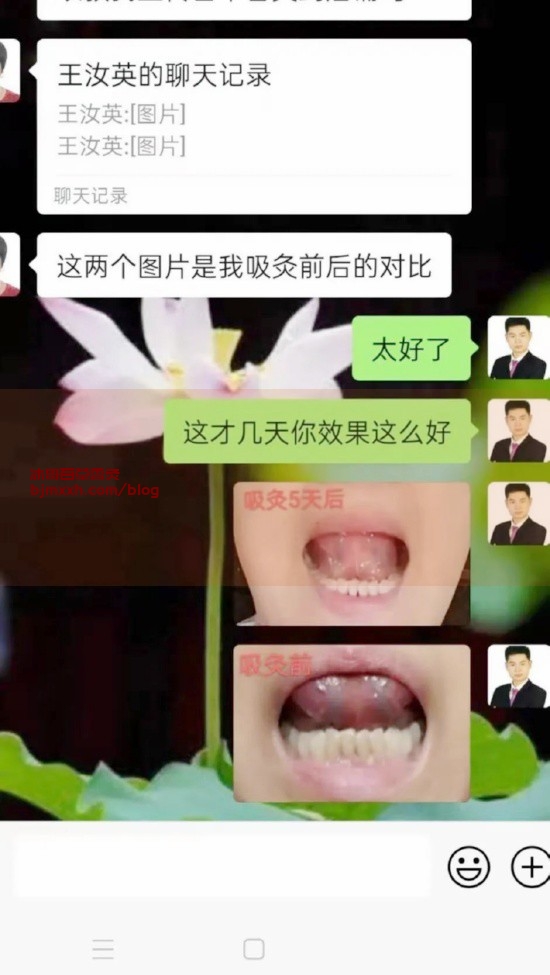 《放下手机，拿起锅铲！厨房里的养生魔法 | 百草香灸空烟管，馨百草香灸多少钱一斤？》
