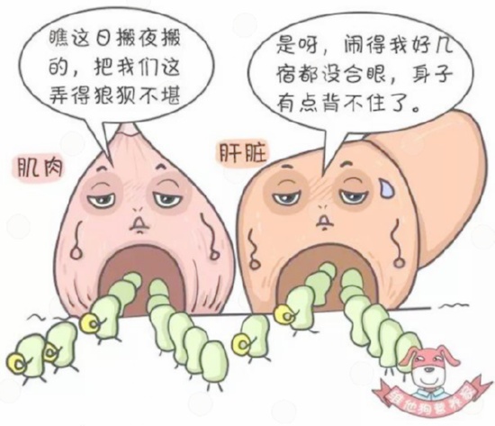 《掌握厨房魔法，轻松健康过日子！ | 百草香灸健康养生苏州，百草香灸网站？》