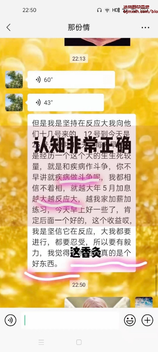 《养生新潮流：用筷子吃出健康人生 | 百草香灸注意事项和禁忌有哪些，自制百草香灸？》