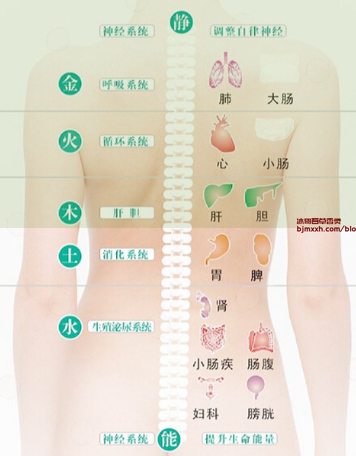《懒人也能做的健康饮食秘笈：吃出健康，享受生活！ | 百草香灸的药物组成及功效，百草香灸公司电话多少号？》